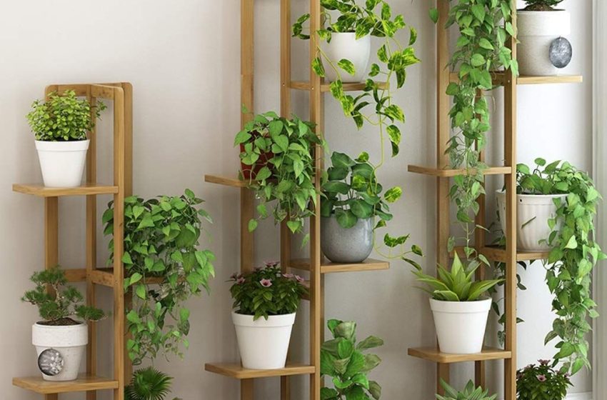  Stand Indoor Plant