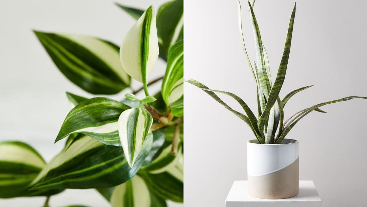 18 Fake Plants That Look Just Like The Real Thing