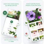 19 Best Plant Identification Apps For 2021 | Balcony Garden Web