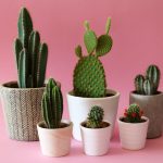 22 Fake Plants For Anyone Who Can'T Keep Real Ones Alive | Self