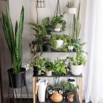 27 Of My Gorgeous Diy Indoor Planters And Plant Stands!