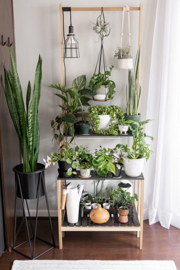 27 Of My Gorgeous Diy Indoor Planters And Plant Stands!