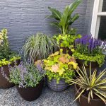 3 Potted Plant Arrangements To Create A Gorgeous Patio Garden