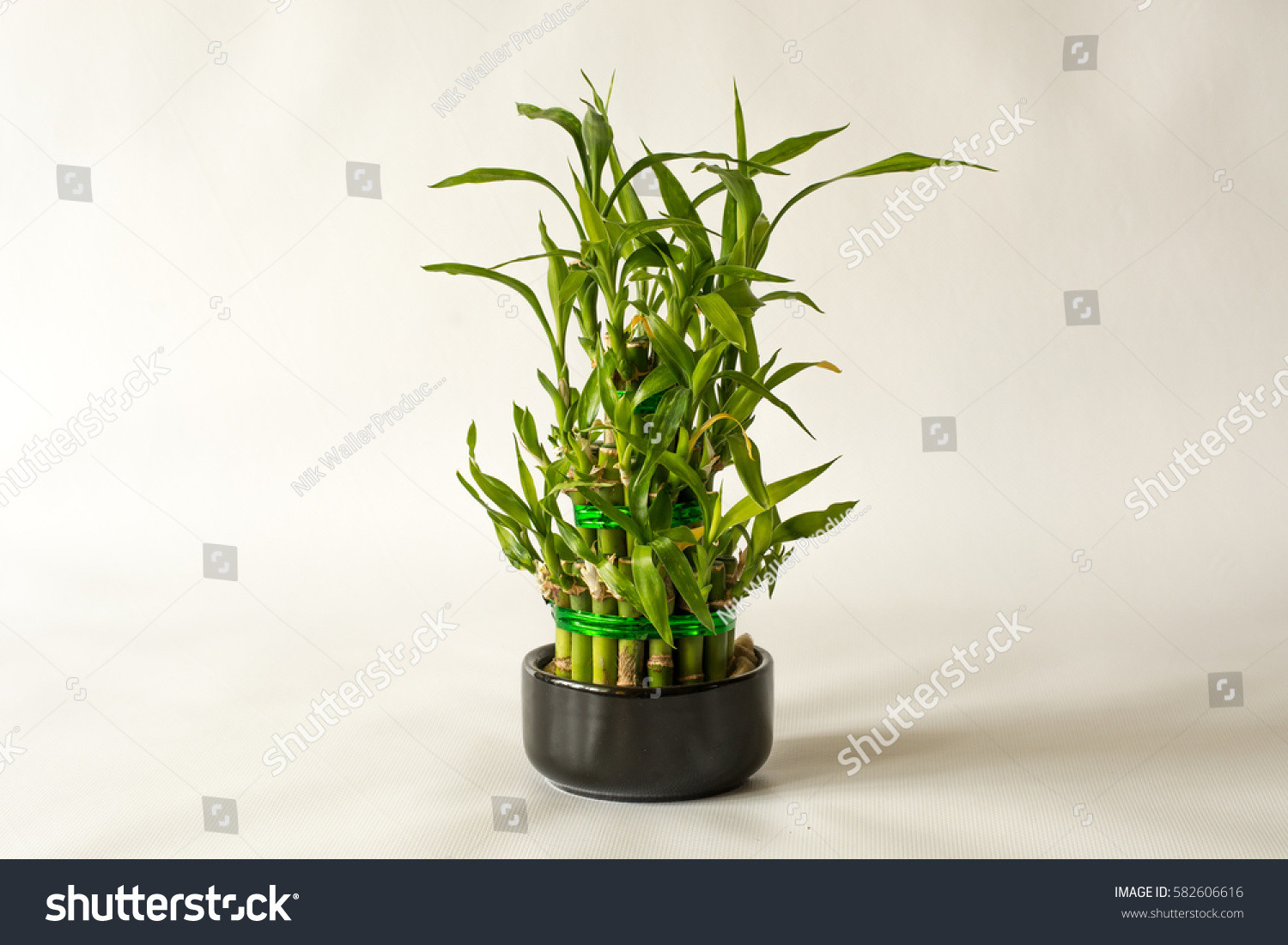 3,119 Mini Bamboo Images, Stock Photos & Vectors | Shutterstock
