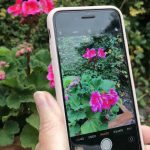 4 Of The Best Free Plant Identification Apps – Wise Living Magazine