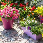 A Quick Guide To Garden Pots, Planters And Containers