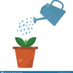 A Watering Can Waters A Young Plant In A Clay Pot Stock Vector