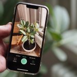 Best Plant Identifier Apps To Help Keep Your Plants Healthy