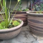 Big Flower Pots Water Plants Pots Planters For Water Plants
