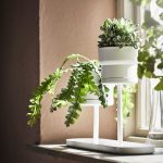 Chilistrån Plant Stand – White 24 Cm