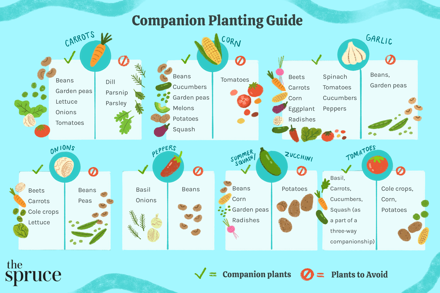 Companion Planting Guide For Vegetable Gardens