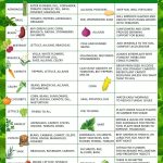 Companion Planting Guide – Gaias Organic Gardens