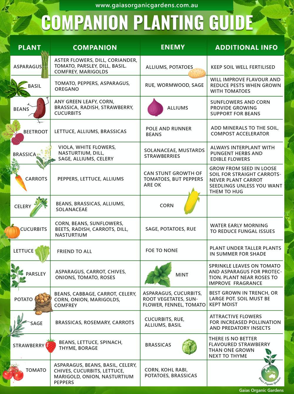 Companion Planting Guide – Gaias Organic Gardens
