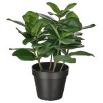 Fejka Artificial Potted Plant – In/Outdoor Clusia 12 Cm