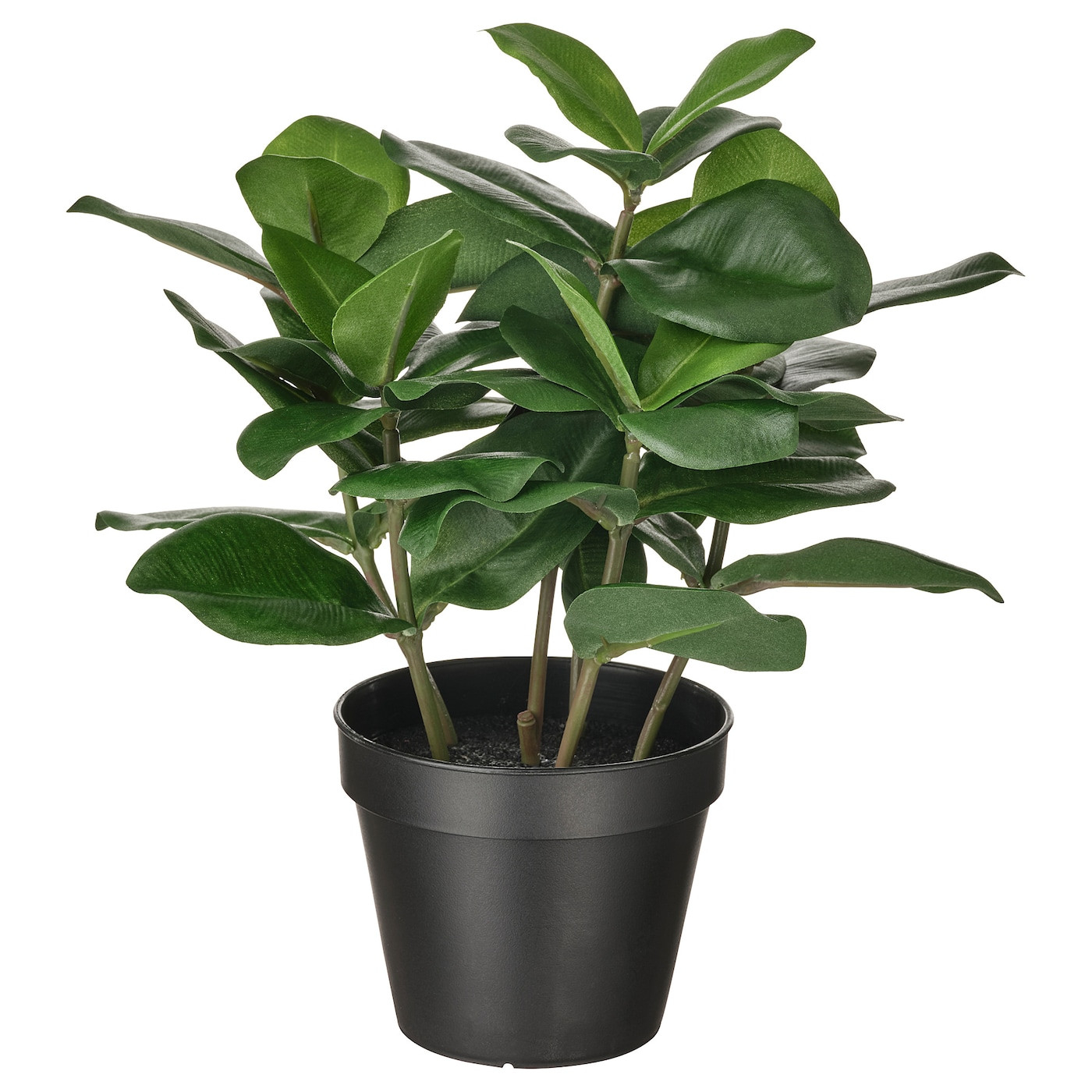 Fejka Artificial Potted Plant - In/Outdoor Clusia 12 Cm