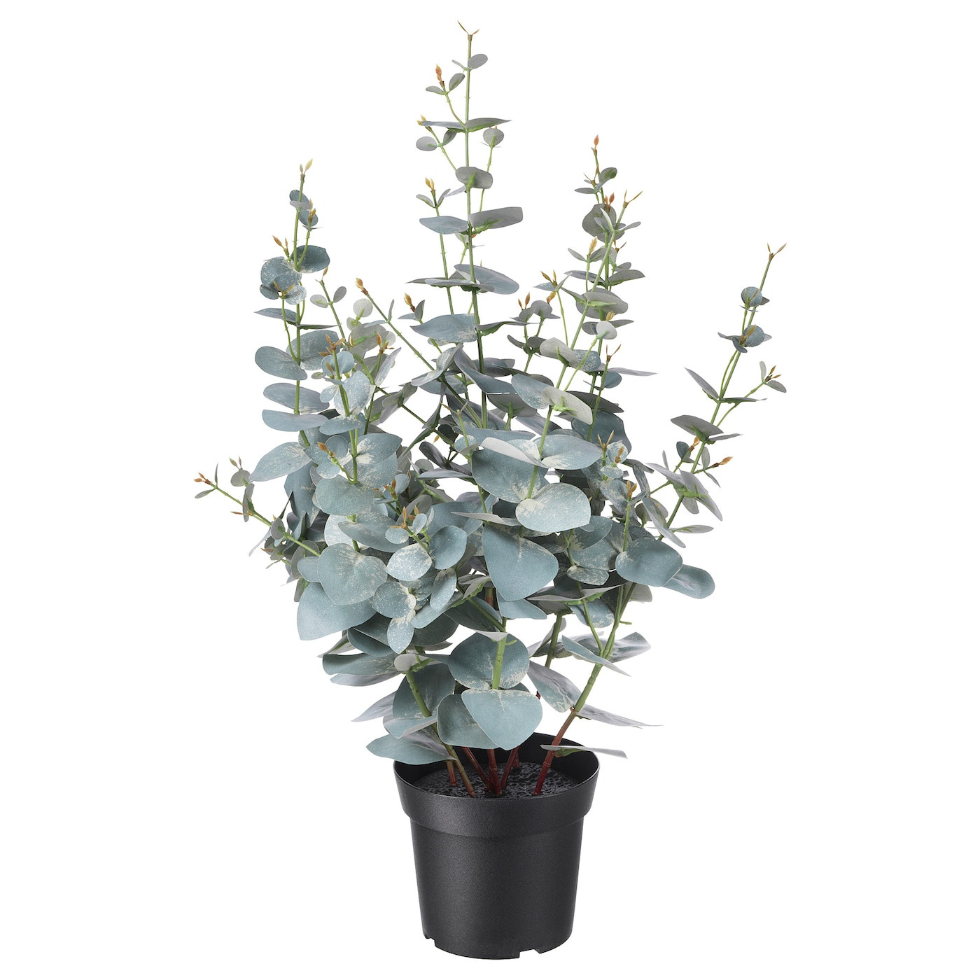 Fejka Artificial Potted Plant – In/Outdoor Eucalyptus 15 Cm