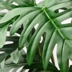 Fejka Artificial Potted Plant, In/Outdoor Philodendron, 15 Cm – Ikea