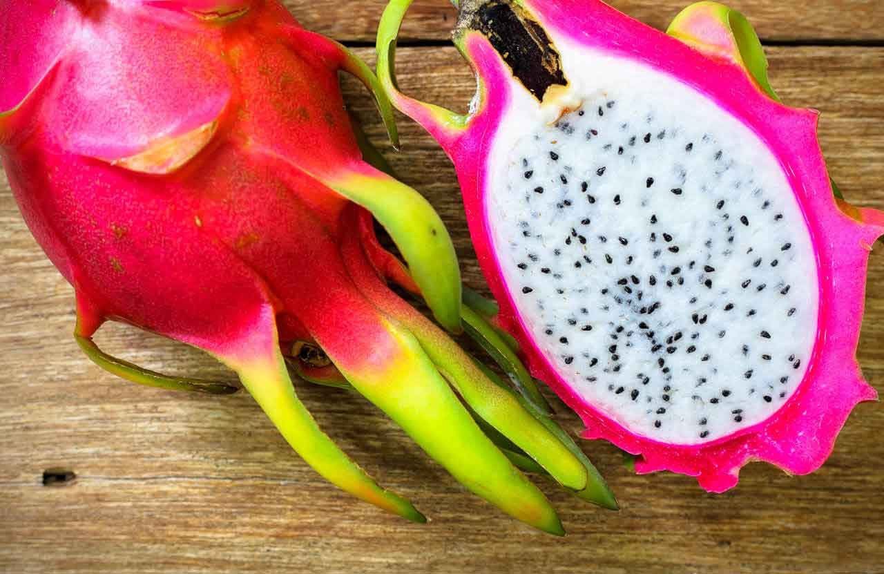 Growing Dragon Fruit: How To Grow Dragon Fruit From Seed And Cuttings