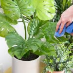 How To Make Faux Plants Look Real | Hgtv