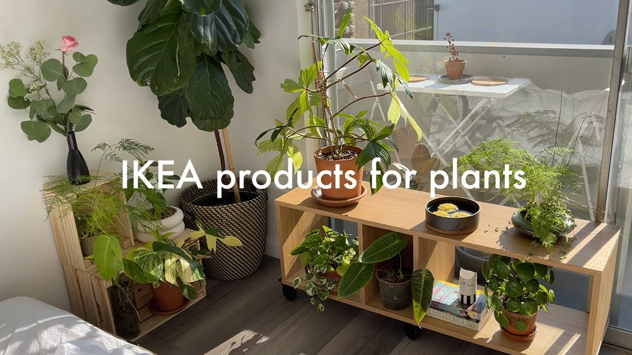 Ikea Products That Can Be Used For Plants