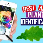 Instant Plant Identification App – Best App Test And Review