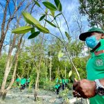 Malaysia Plans To Plant 100 Million Trees In Five Years | The Star