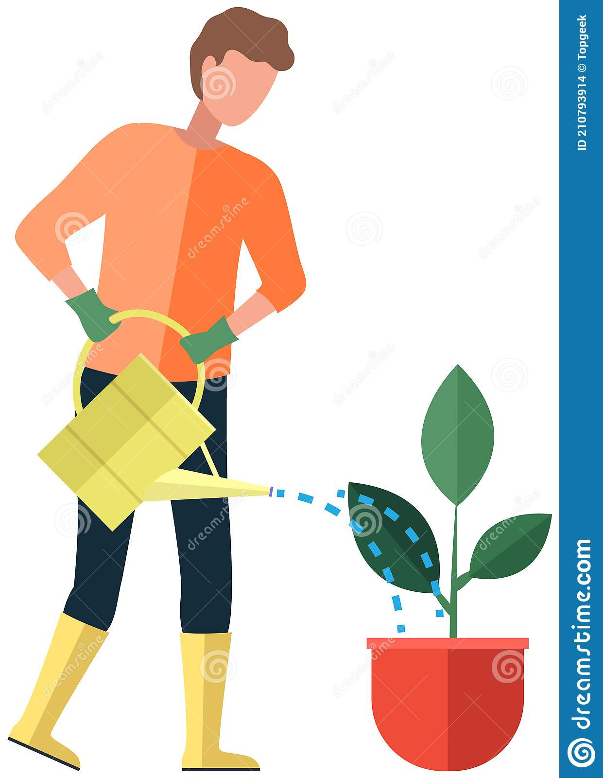 Man Gardener Waters Flower In Pot From Watering Can. Guy Takes