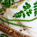 Moringa Tree – Poppys Wild Kitchen