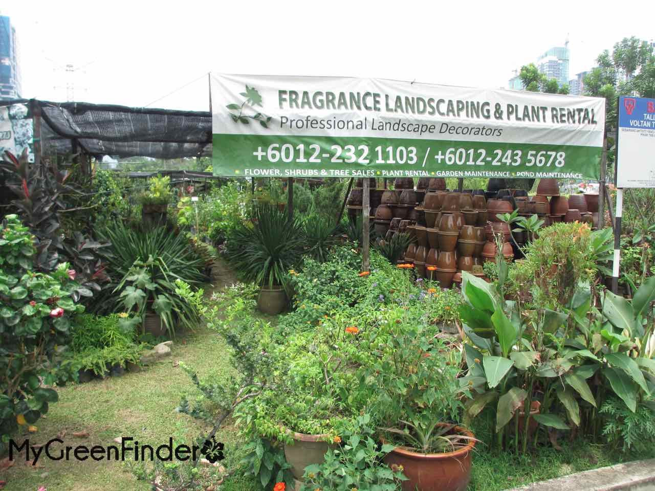 My Green Finder | Plant Vendors: Fragrance Landscaping & Plant Rental