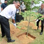 Nestle To Plant Three Million Trees2023 | The Star