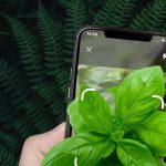 Plant Id: Plant Identification Apk For Android Download