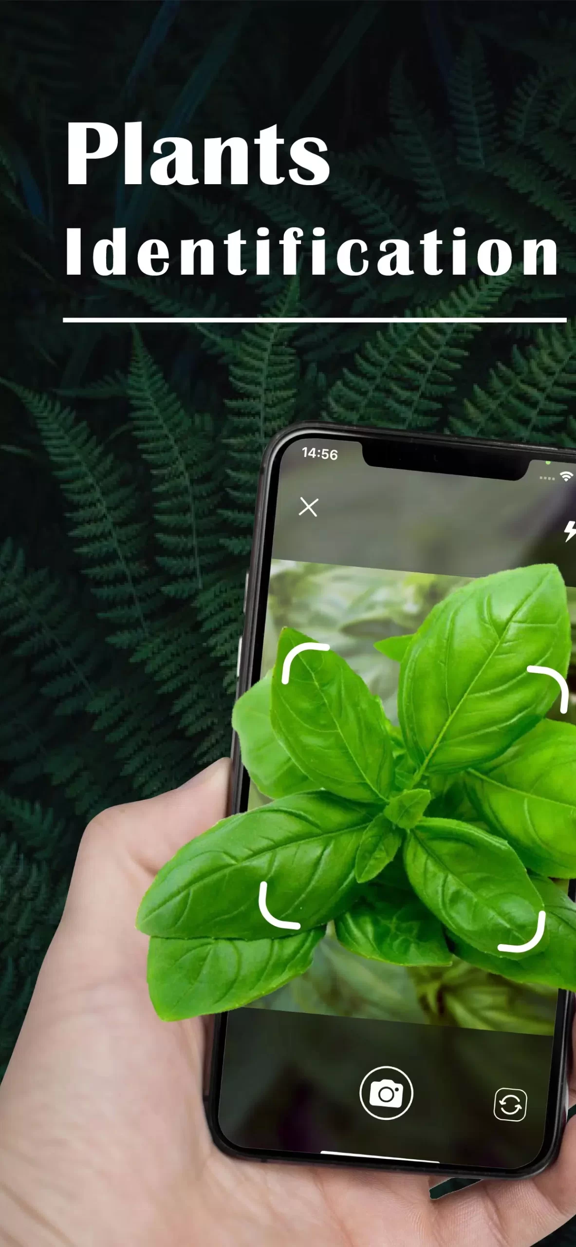 Plant Id: Plant Identification Apk For Android Download