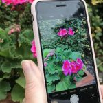 Plant Identification And Advice At Your Fingertips