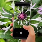 Plant Identification - Free App For Gardeners And Nature Lovers