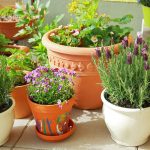 Plant Pots And Containers In Jersey | Ransoms Garden Centre