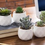 The 9 Best Places To Buy Fake Plants In 2022