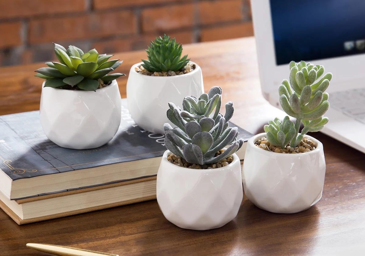 The 9 Best Places To Buy Fake Plants In 2022 – Kompaser