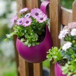 The Best Low Maintenance Plants For Outdoor Pots, And How To Take