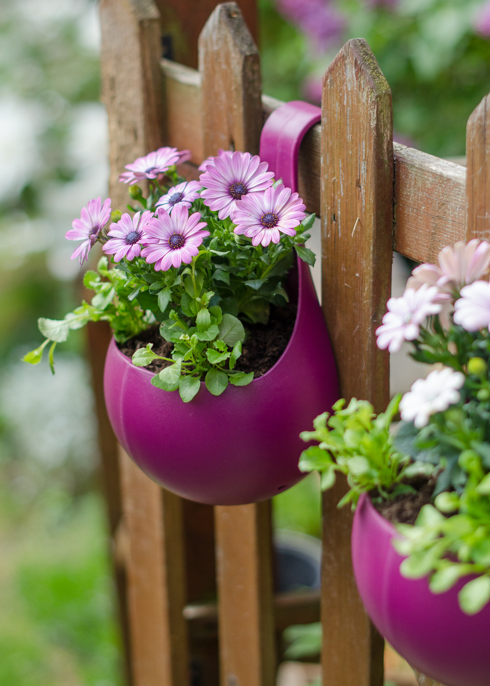 The Best Low Maintenance Plants For Outdoor Pots, And How To Take