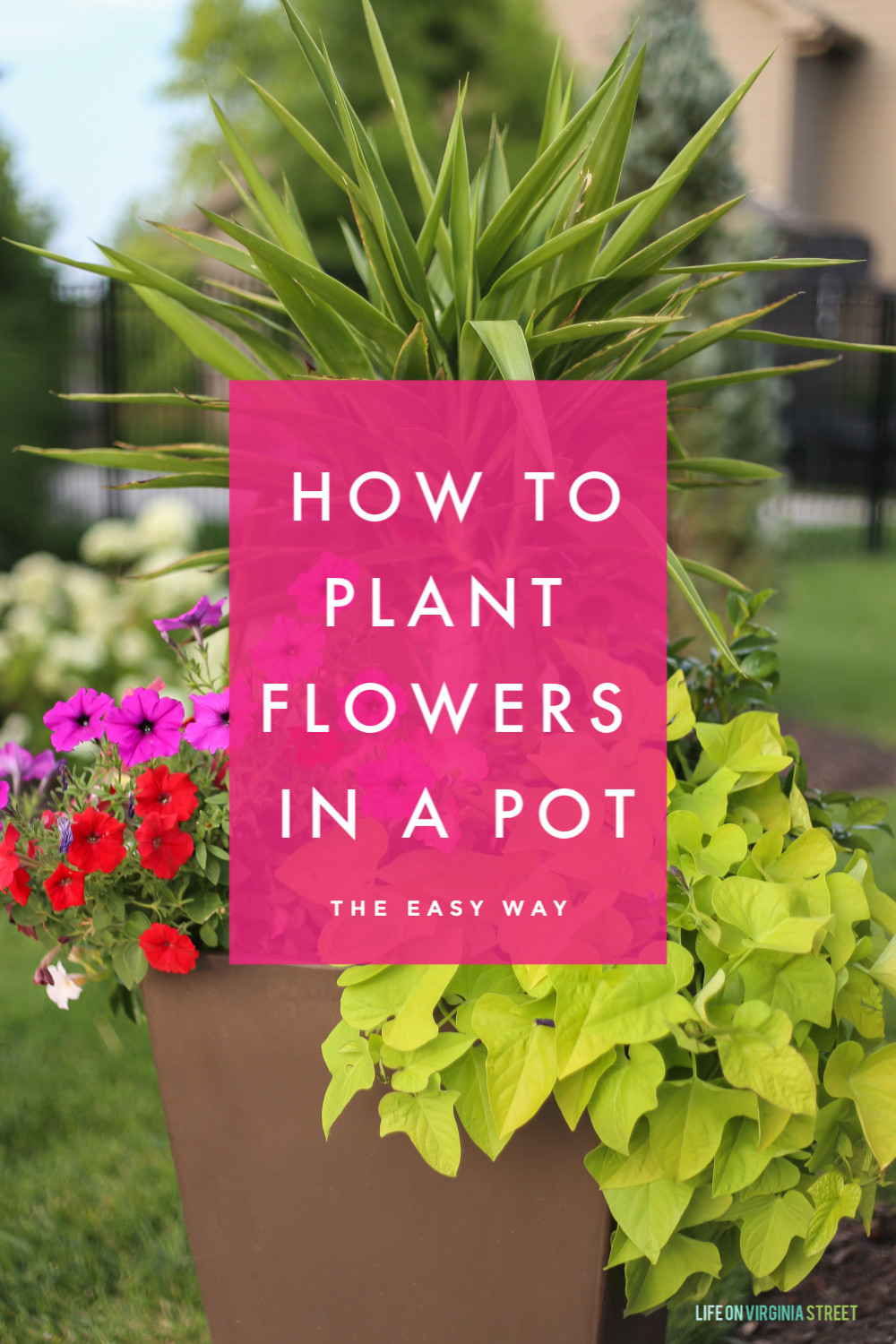 Tutorial: How To Plant Flowers In A Pot – Life On Virginia Street