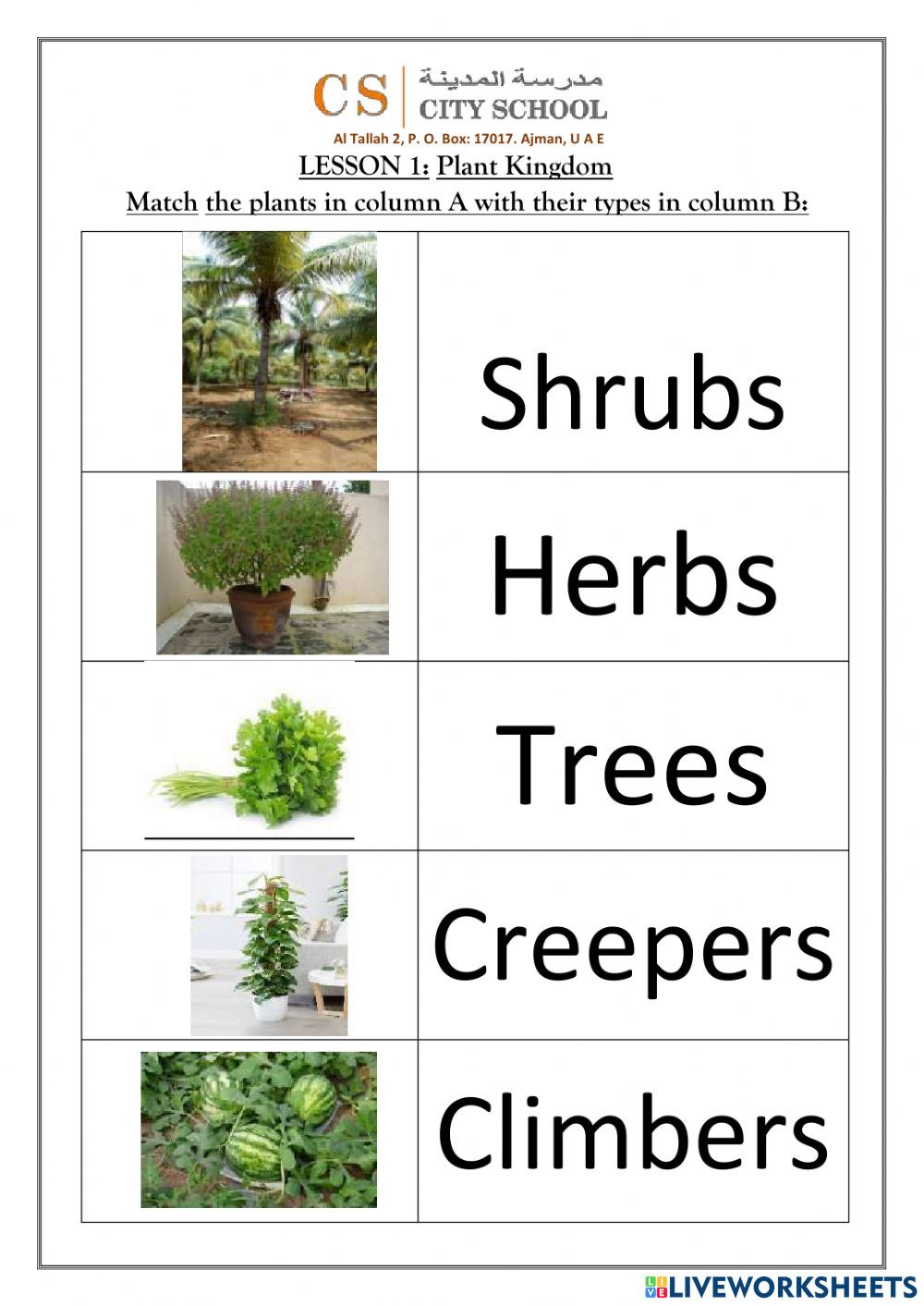 Types Of Plants Science Exercise