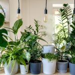 What Type Of House Plant Parent Are You? We Break It Downlevels