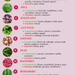 What You Should Know About Companion Planting — Green And Prosperous