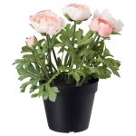 Fejka Artificial Potted Plant – In/Outdoor/Ranunculus Pink 12 Cm