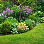 Perennial Plant Information – What Is Definition Of Perennial Plant